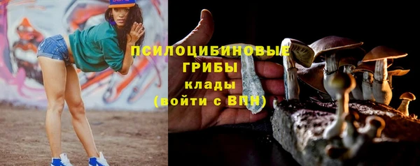 ECSTASY Михайлов