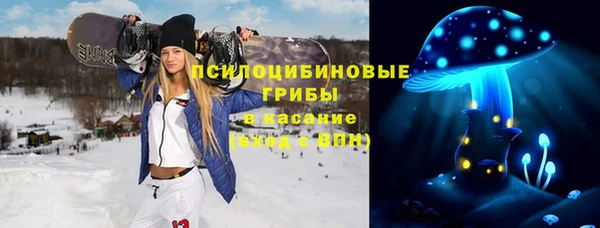ECSTASY Михайлов