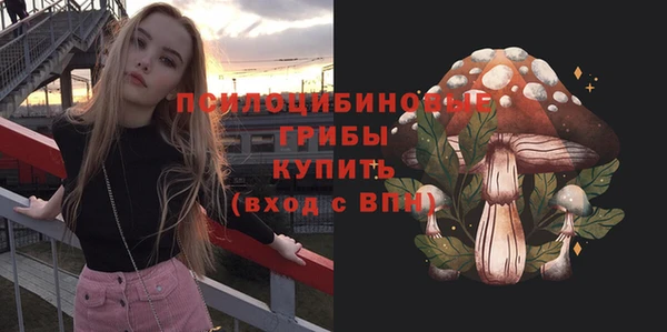скорость Медвежьегорск