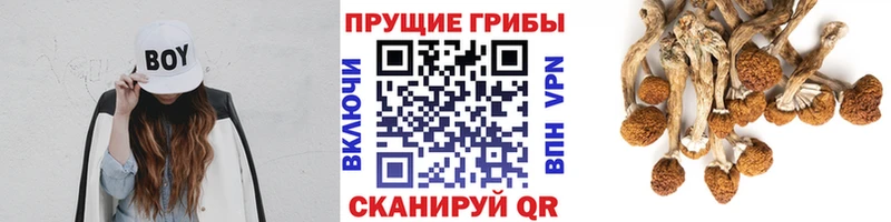 Псилоцибиновые грибы ЛСД Златоуст