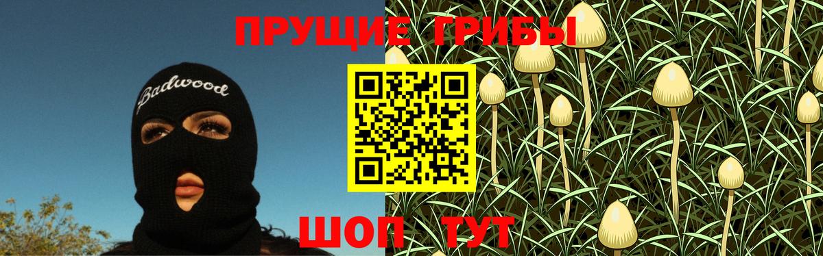 Псилоцибиновые грибы прущие грибы Златоуст