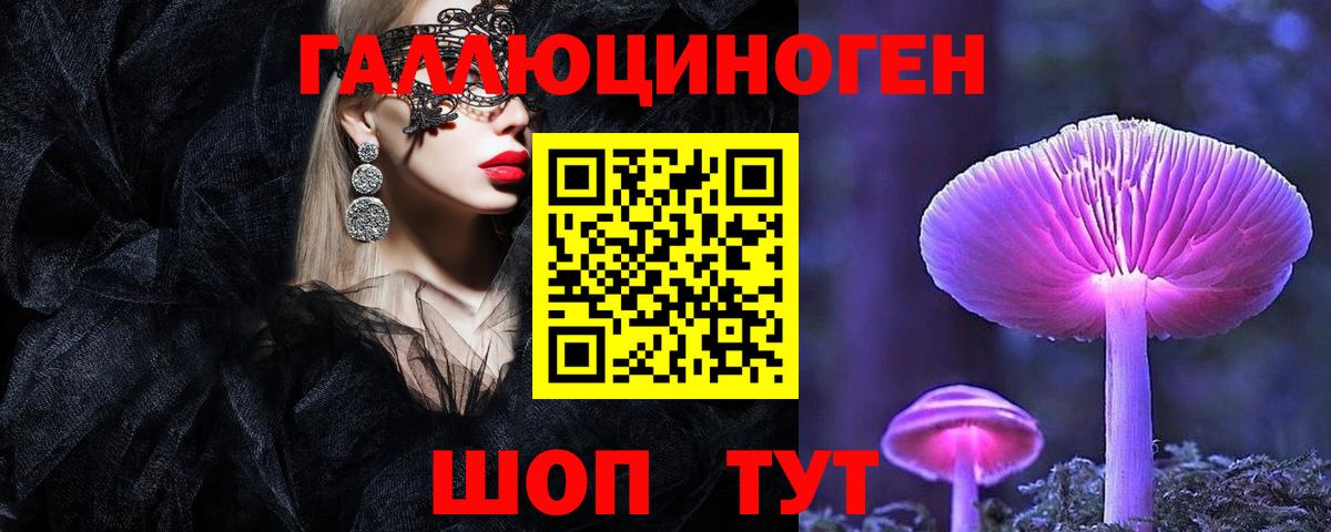 Златоуст  Псилоцибиновые грибы прущие грибы  Галлюциногенные грибы Cubensis  Вход с VPN 