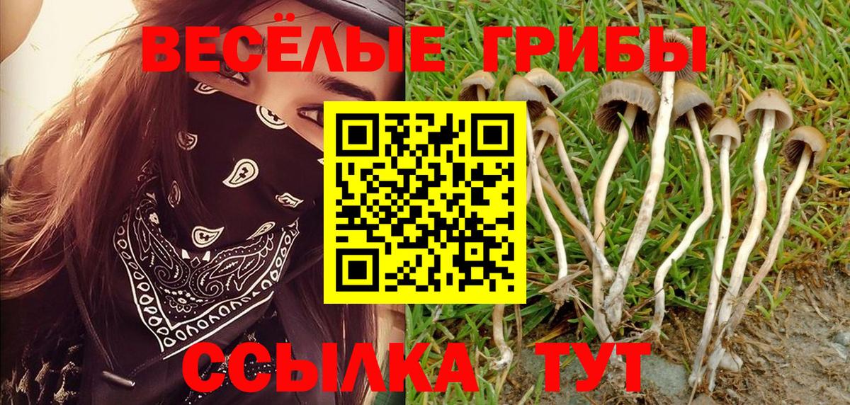 Галлюциногенные грибы мухоморы Златоуст